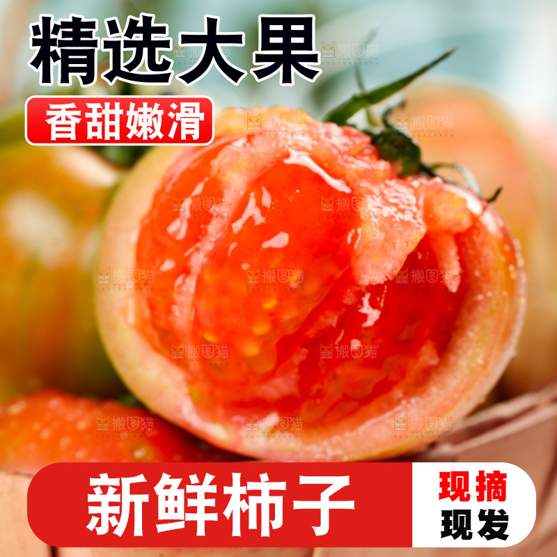 浅底上的铁皮西红柿