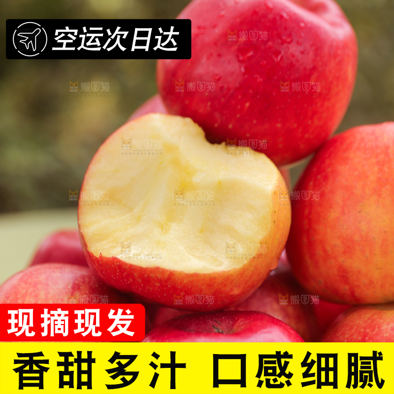 手里拿着高原红苹果