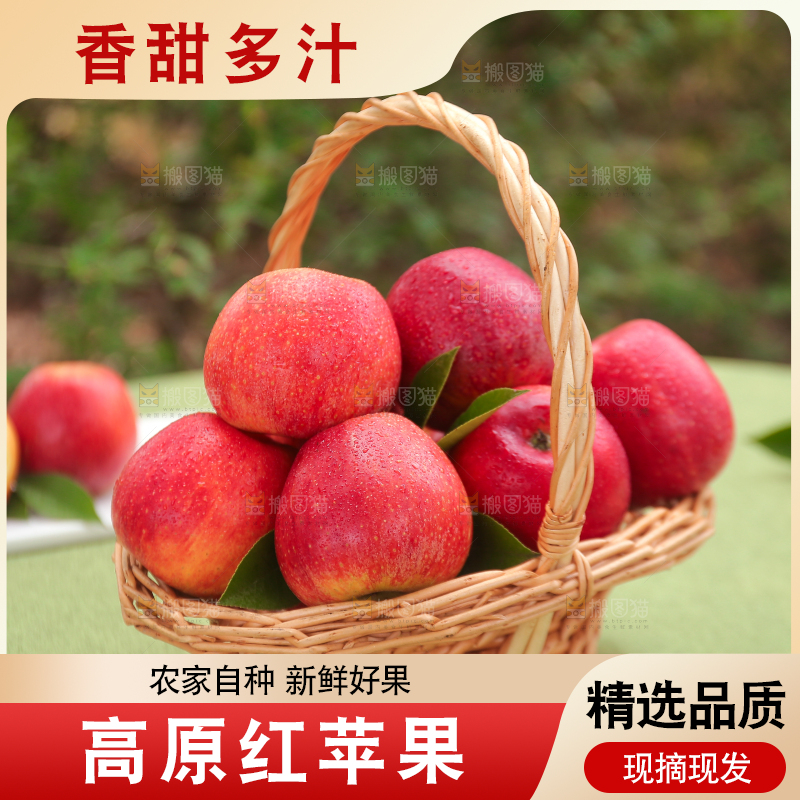 手里拿着高原红苹果