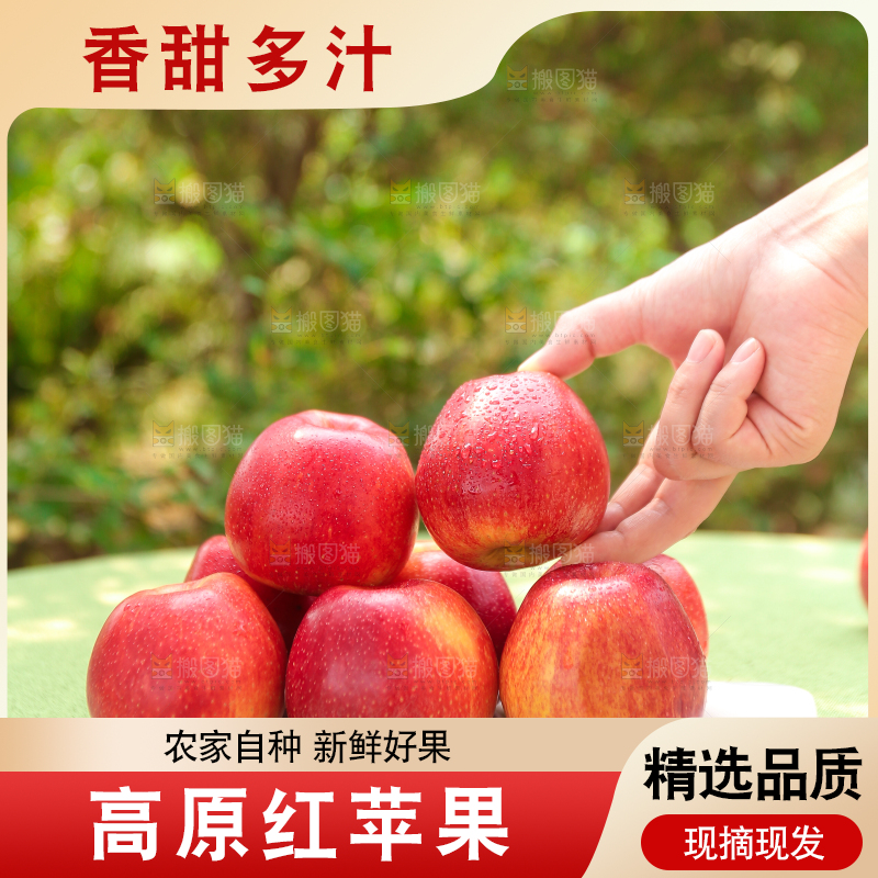 手里拿着高原红苹果