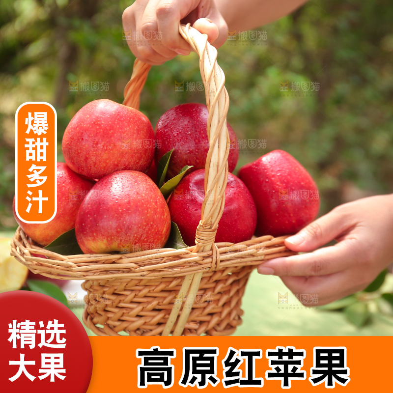 手里拿着高原红苹果