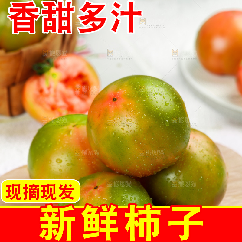 浅底上的铁皮西红柿