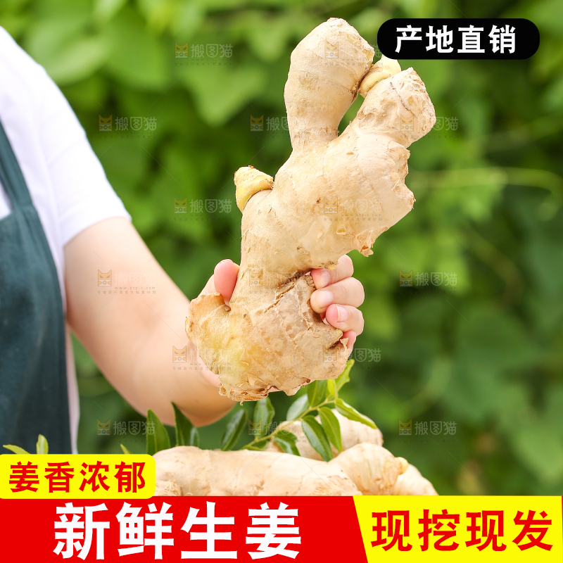 手里拿着生姜