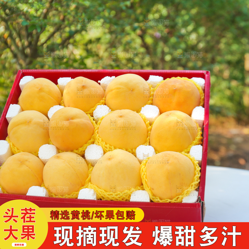 手里拿着炎陵黄桃