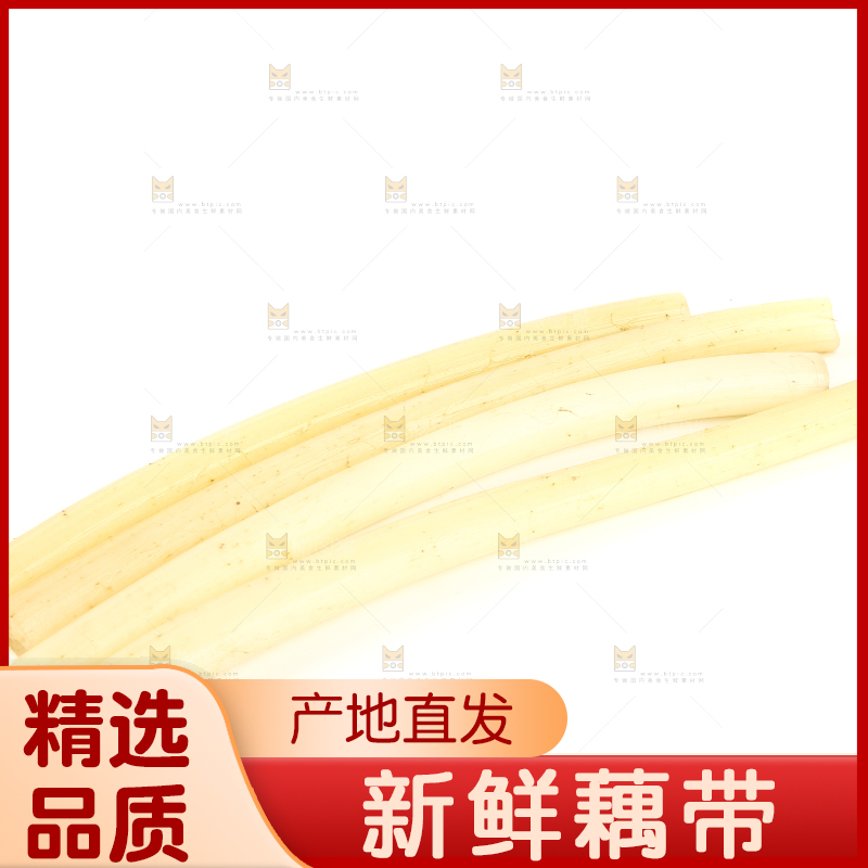白底上摆放着新鲜藕带