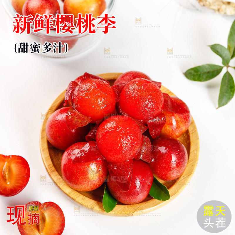 白底上的樱桃李