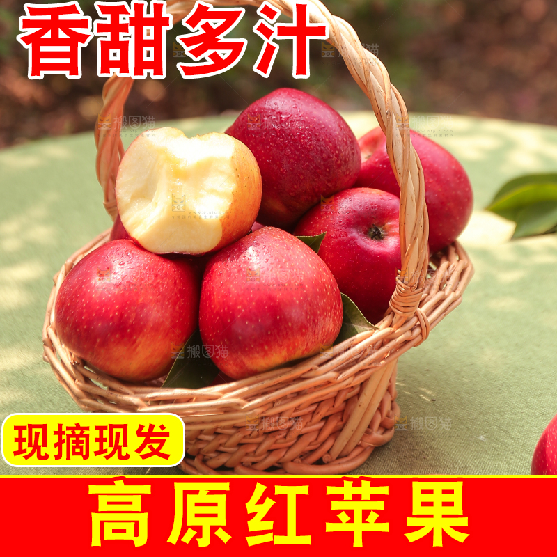 手里拿着高原红苹果