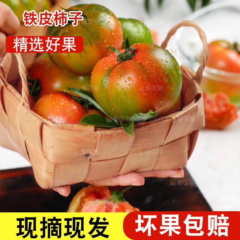 浅底上的铁皮西红柿