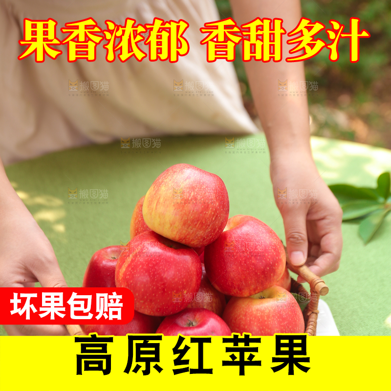 手里拿着高原红苹果