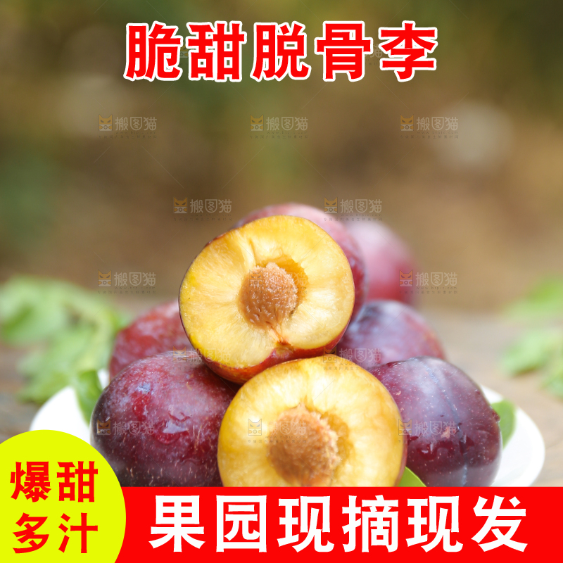 木底上放着红脱骨李