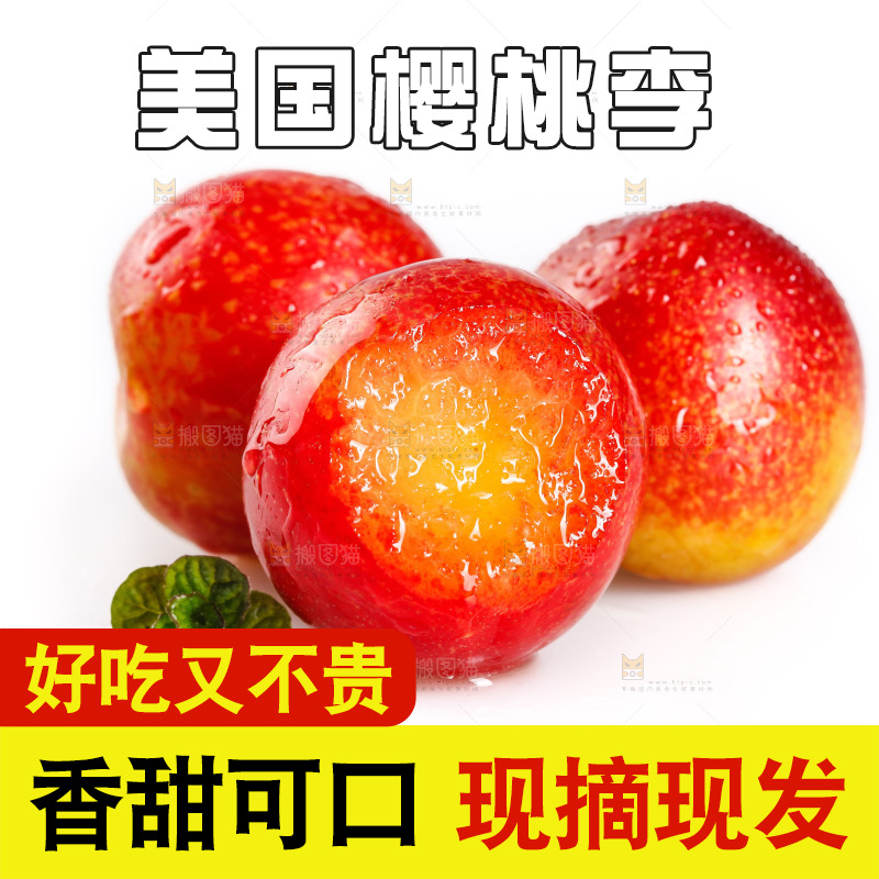 白底上的樱桃李