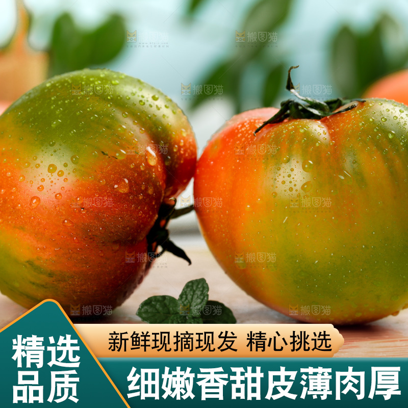浅底上的铁皮西红柿