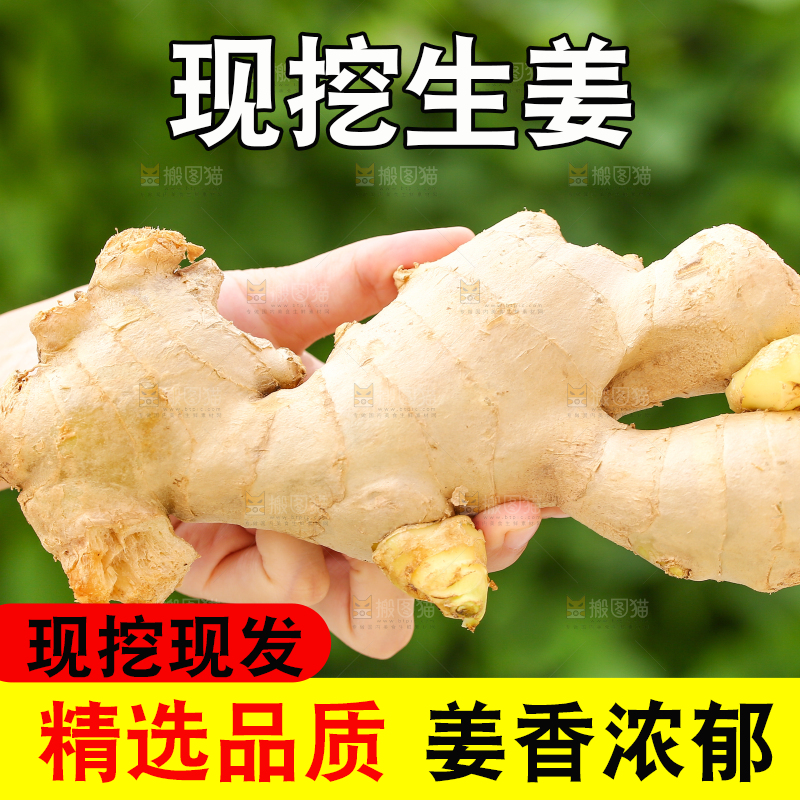 手里拿着生姜