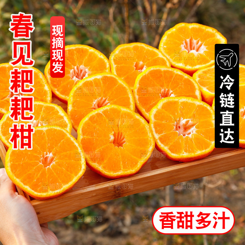草地上的耙耙柑
