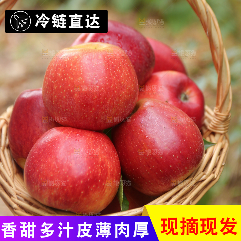 手里拿着高原红苹果