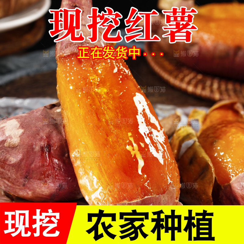 木底上的烟薯