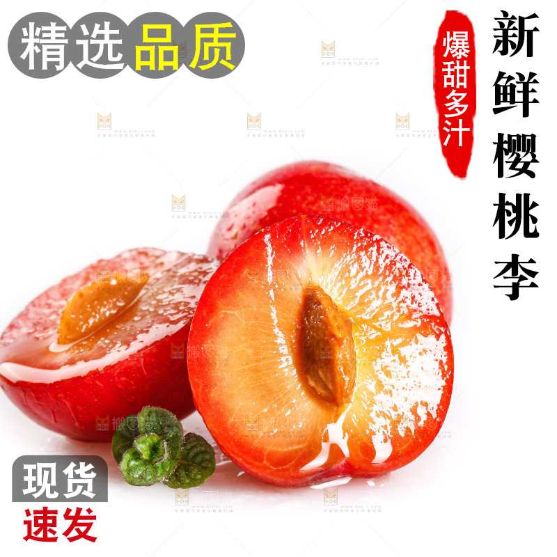 白底上的樱桃李
