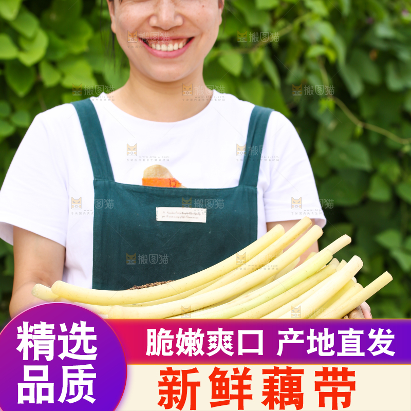手里拿着藕带