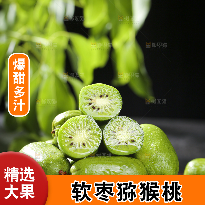 深底上的软枣猕猴桃