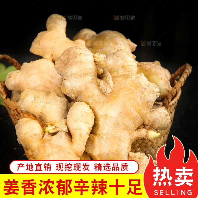 深底上的生姜