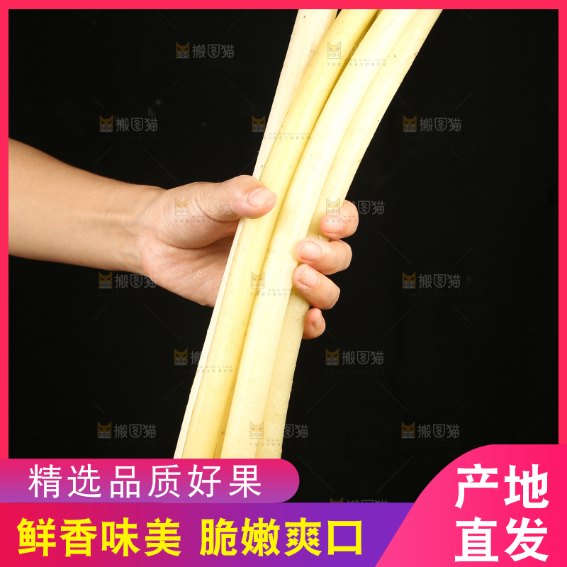 深底上放着藕带