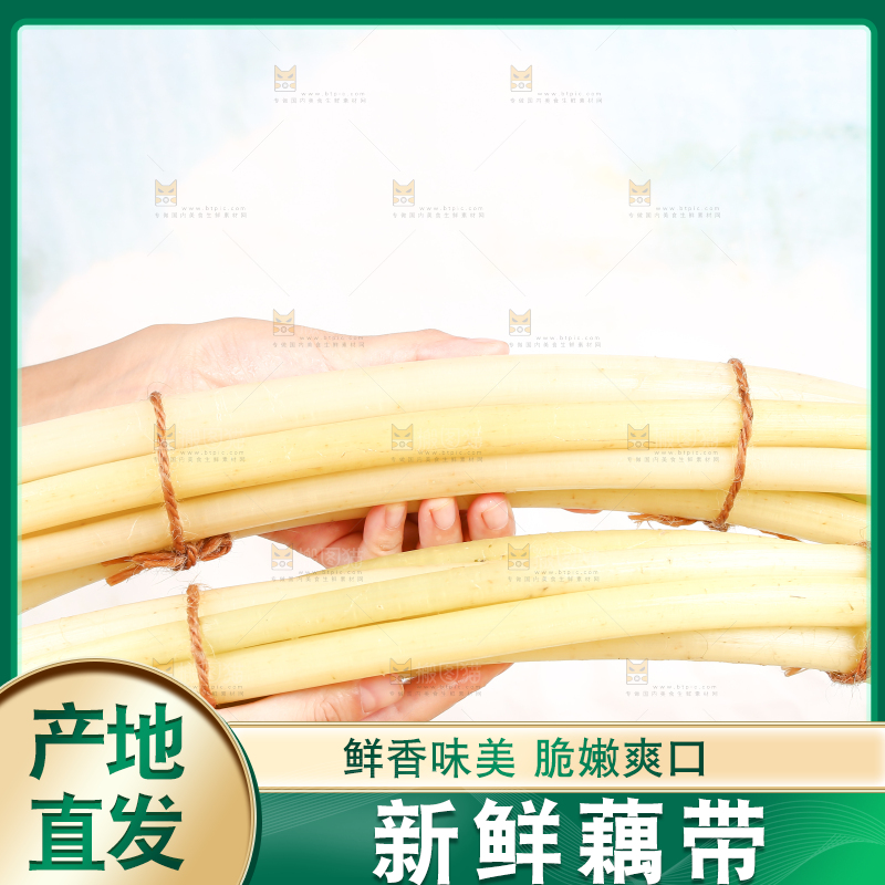 手里拿着藕带