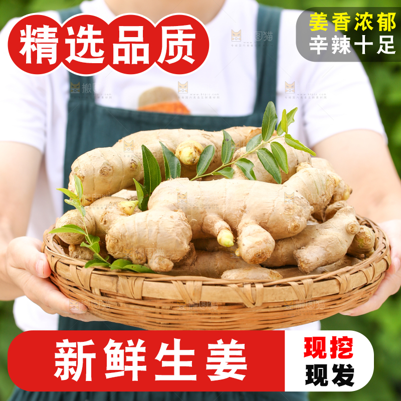 手里拿着生姜