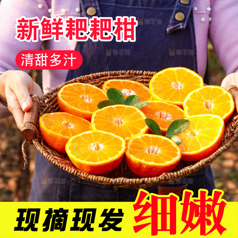 草地上的耙耙柑