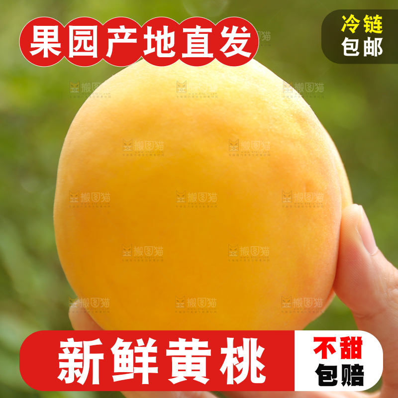 手里拿着炎陵黄桃