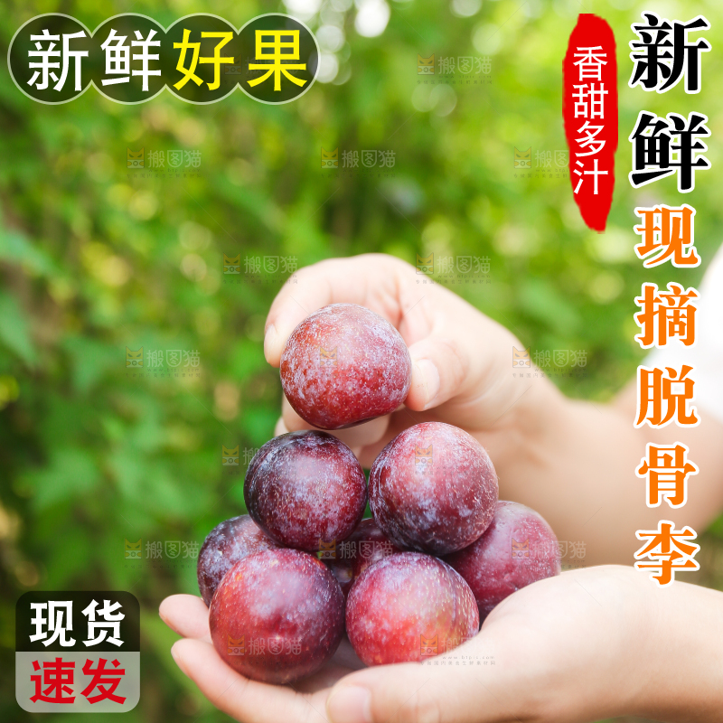 木底上放着红脱骨李