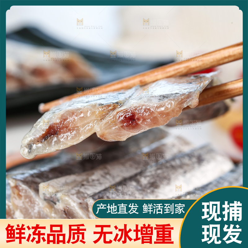 白底上的带鱼段