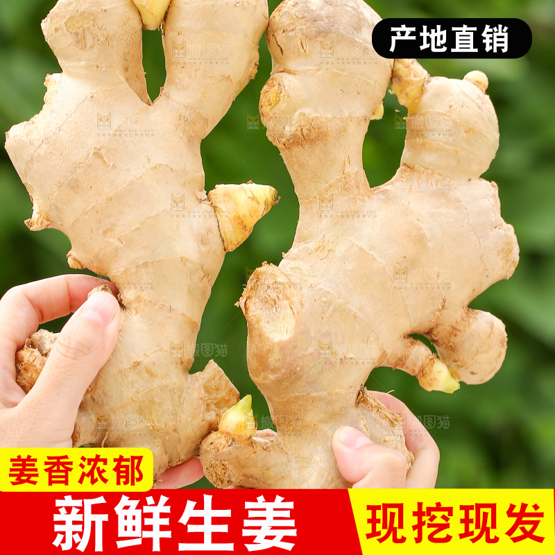 手里拿着生姜