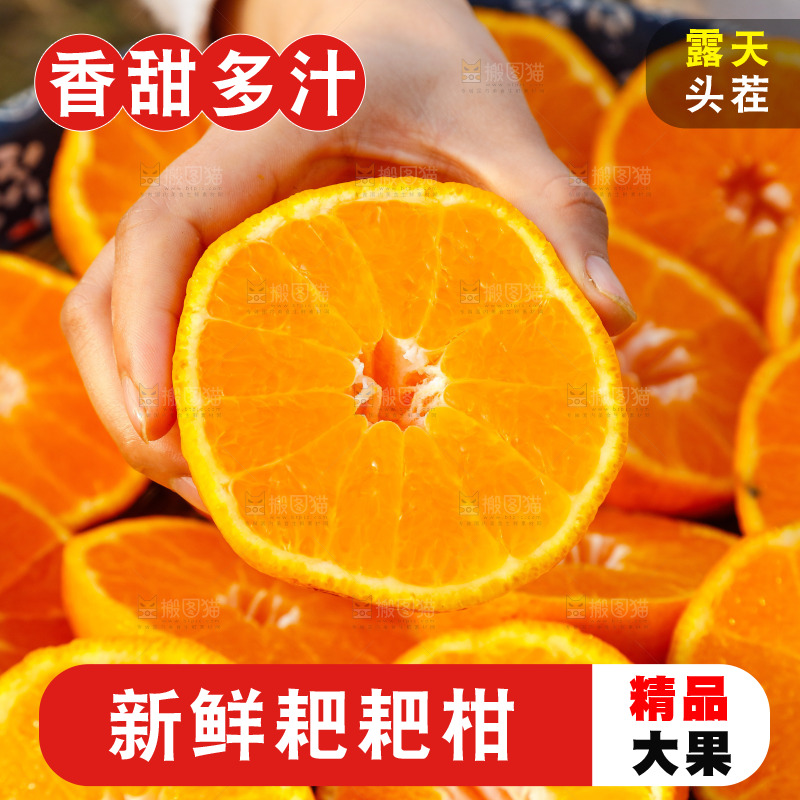 草地上的耙耙柑
