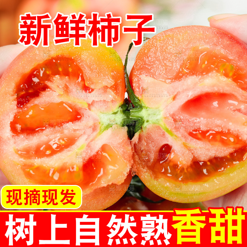 浅底上的铁皮西红柿