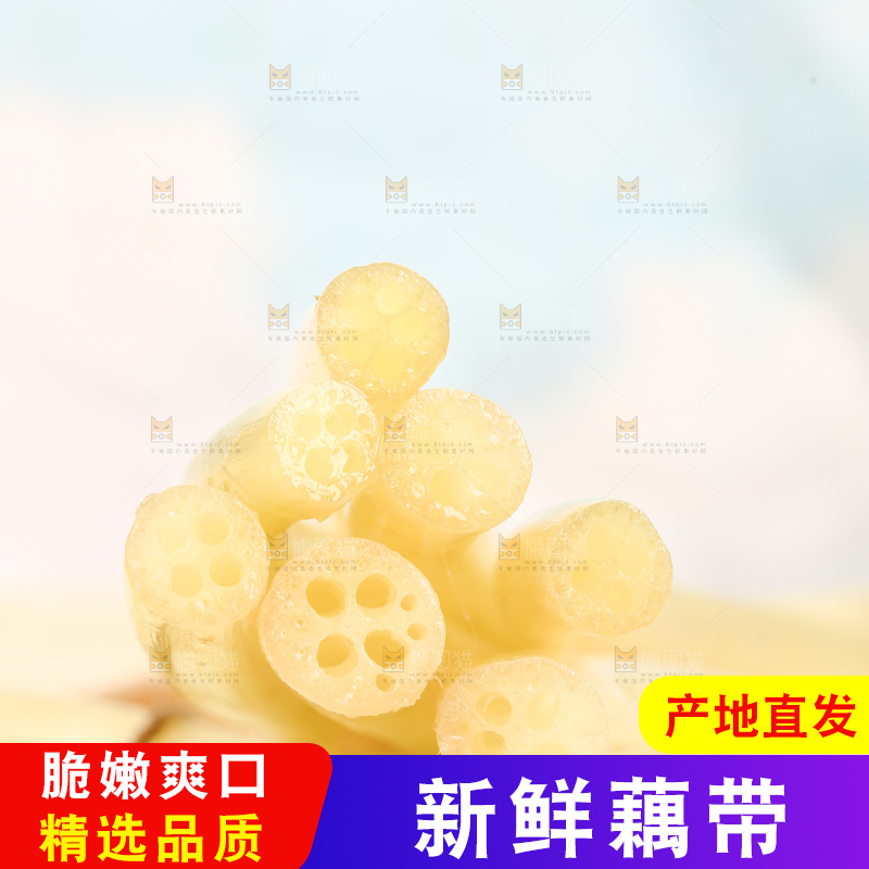 浅底上的藕带