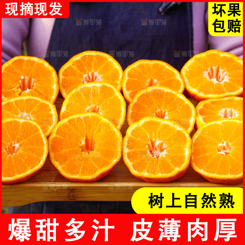 草地上的耙耙柑
