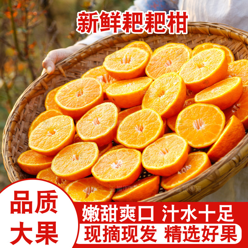 草地上的耙耙柑
