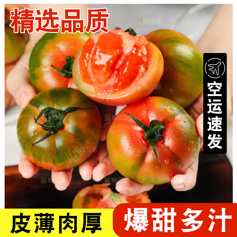 浅底上的铁皮西红柿