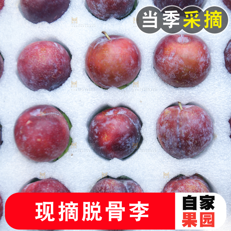 木底上放着红脱骨李