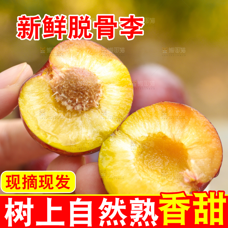 木底上放着红脱骨李