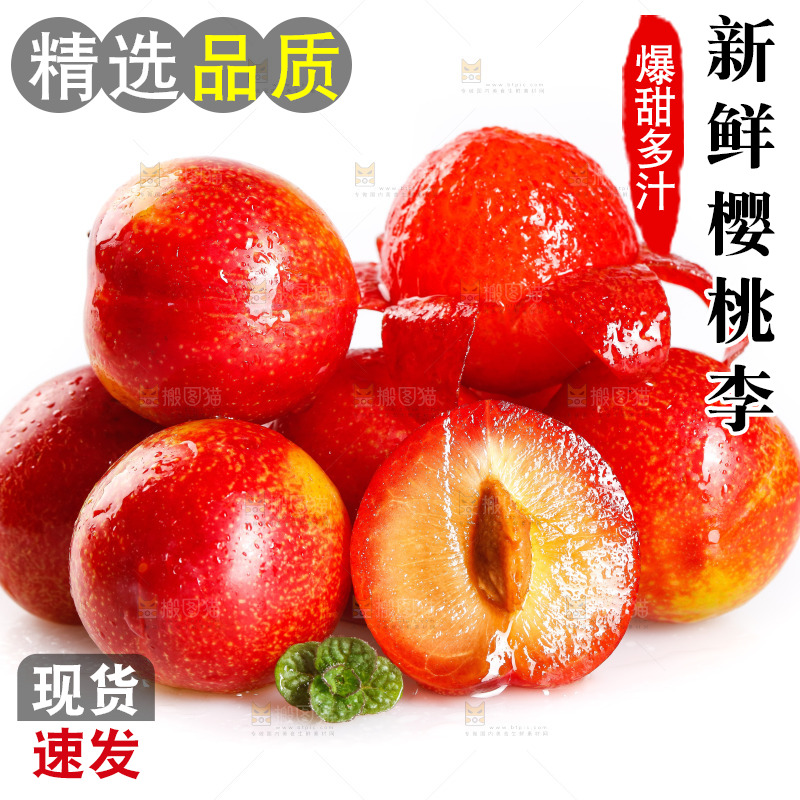 白底上的樱桃李