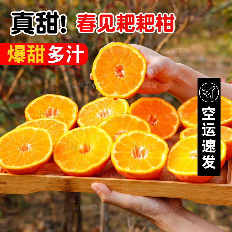 草地上的耙耙柑