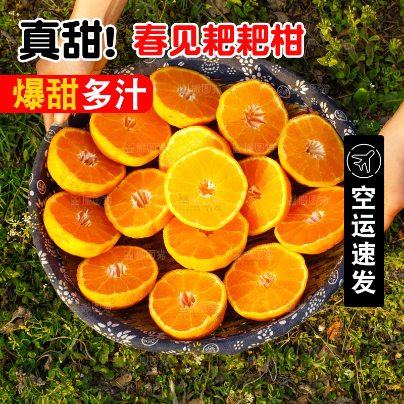 草地上的耙耙柑