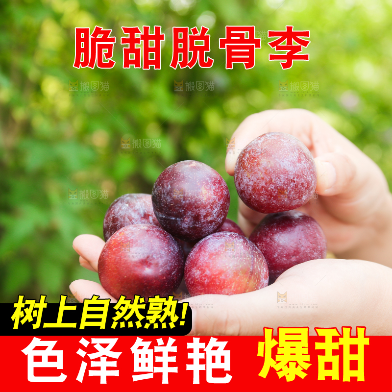 木底上放着红脱骨李