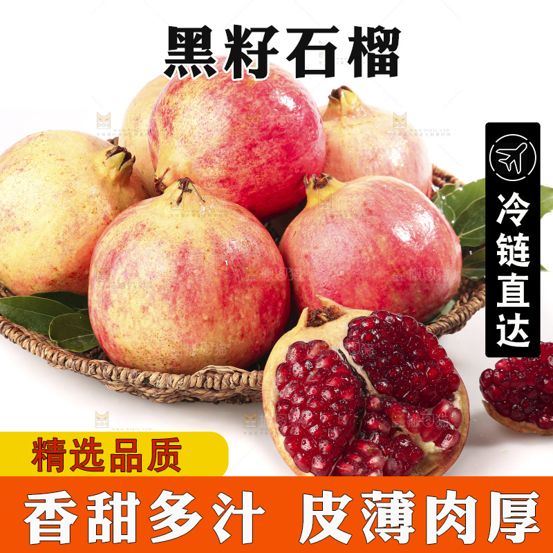 白底上的突尼斯软籽石榴