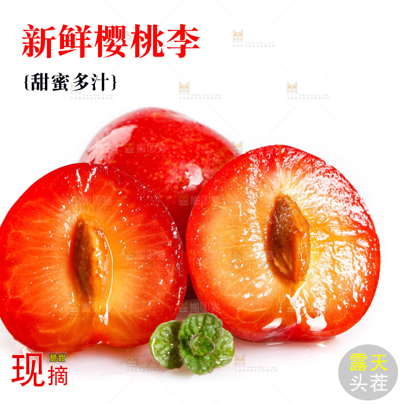 白底上的樱桃李