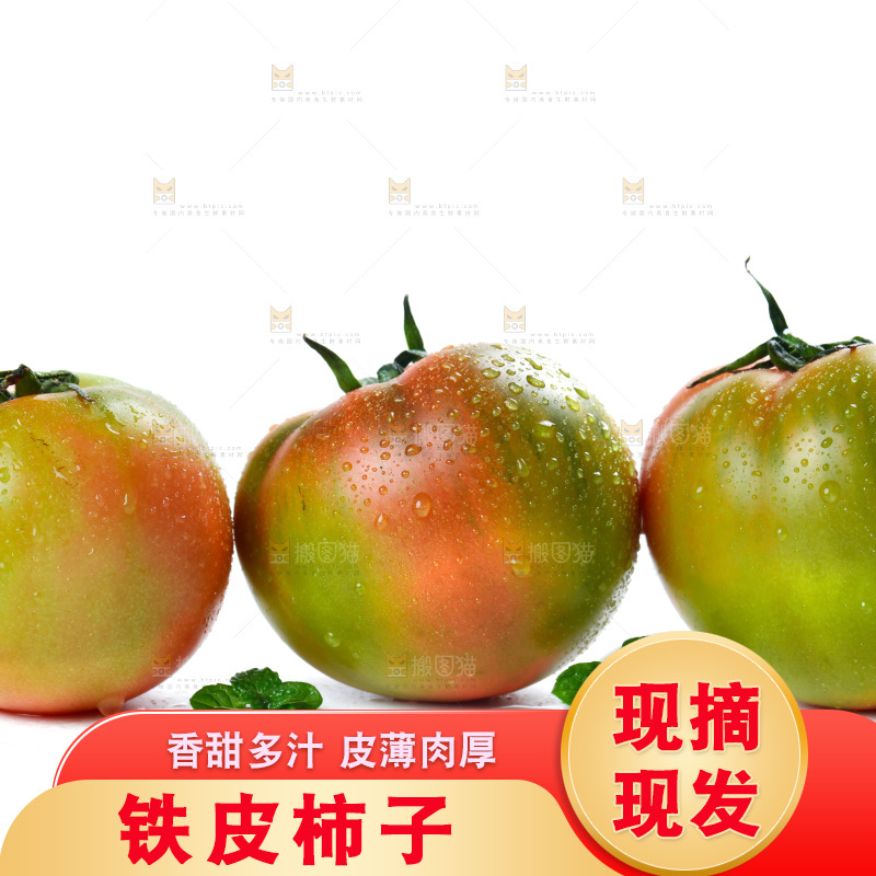 白底上放着铁皮西红柿