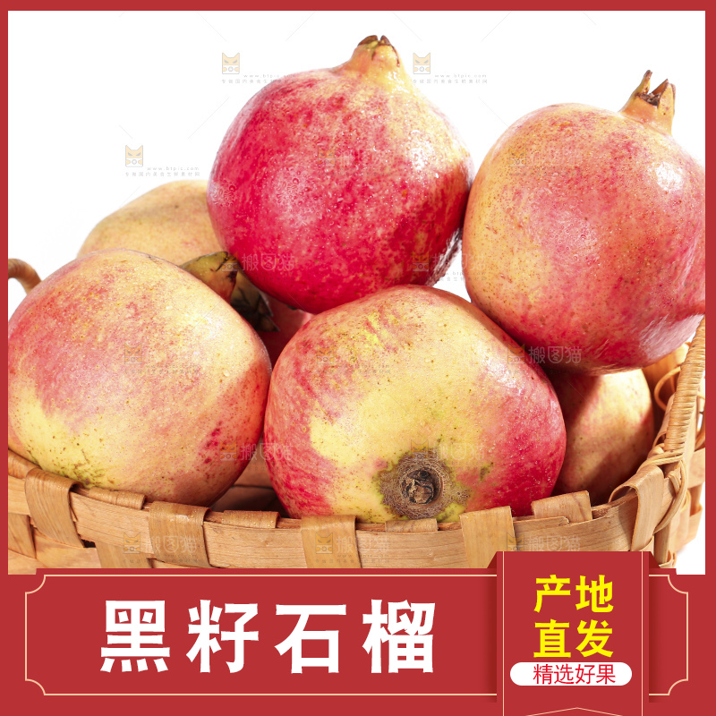 白底上的突尼斯软籽石榴