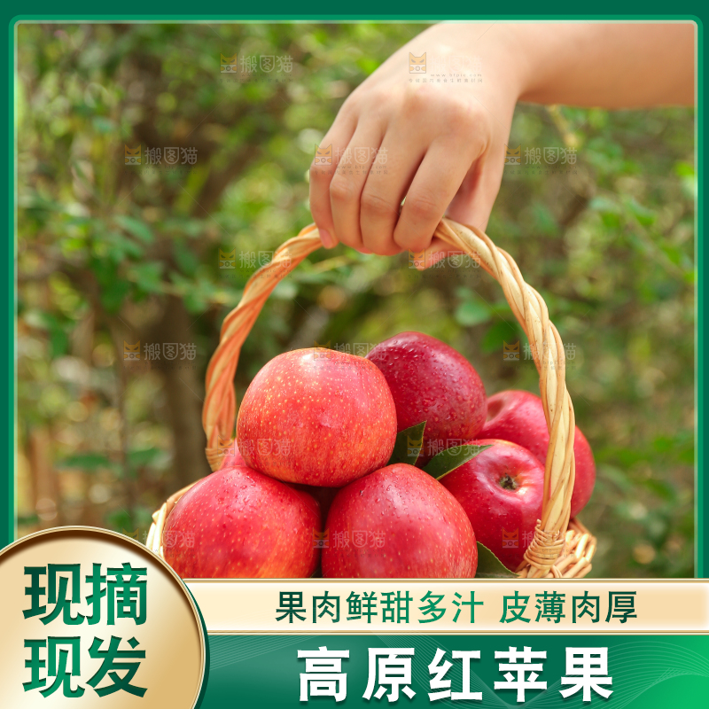 手里拿着高原红苹果