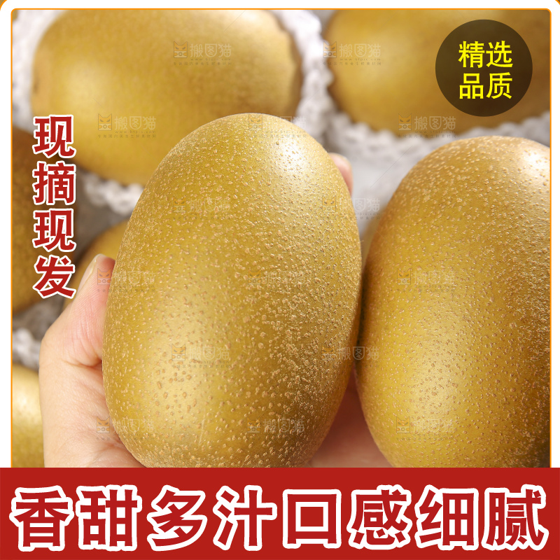 深底上放着佳沛奇异果